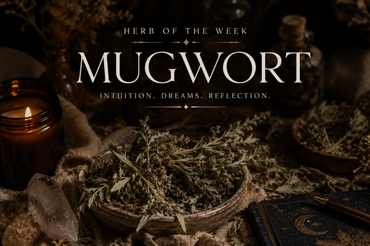 Herb of the Week: Mugwort Meaning, Benefits, and Spiritual Uses